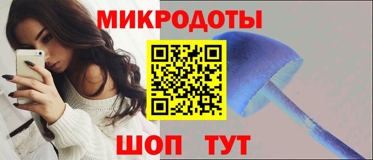 Ессентуки  Псилоцибиновые грибы MAGIC MUSHROOMS  Вход с VPN  Галлюциногенные грибы MAGIC MUSHROOMS 